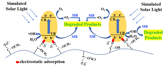 Chem. Eur. J. ：一步光化学法制备光催化活性增强的CdS/Poly(MMA-co-MAA)复合材料