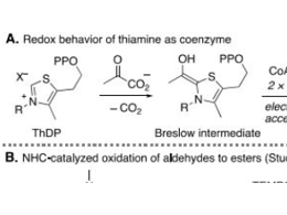 N-杂环卡宾催化醛的脱羧烷基化反应
